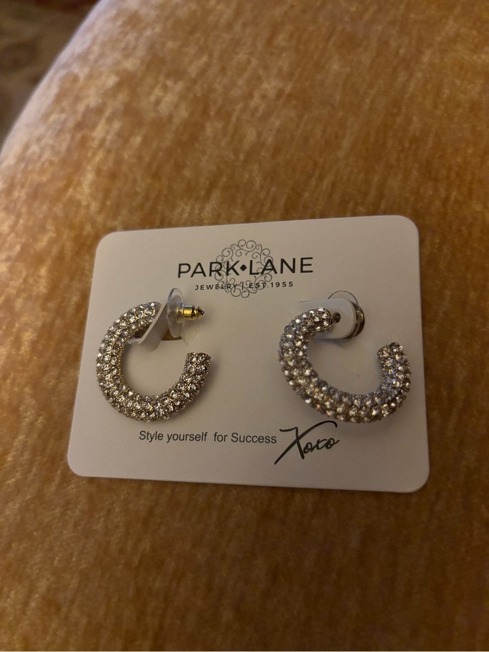 Earrings (Not in list)